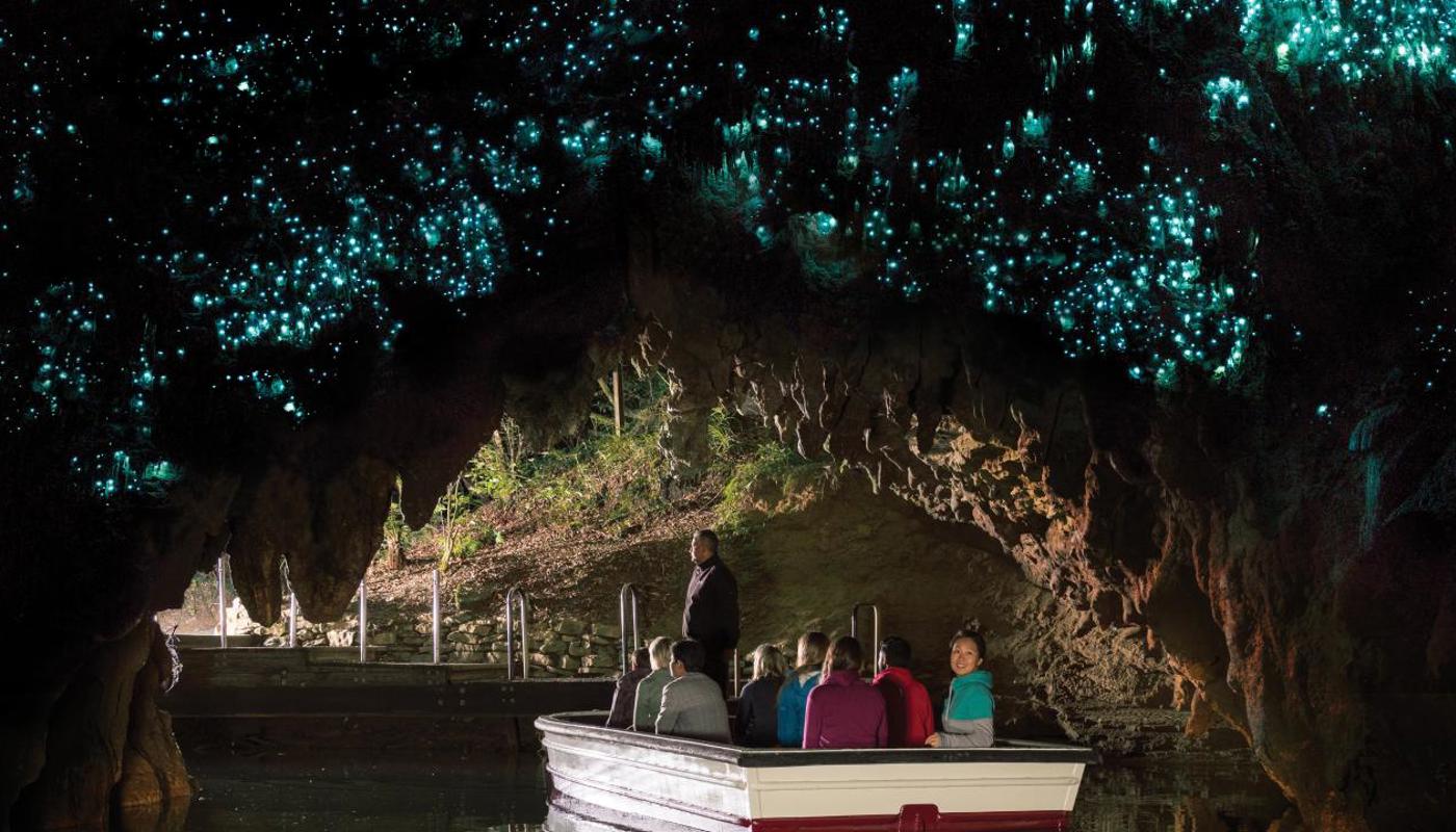 Wonders of Waitomo Caves and Kiwi House