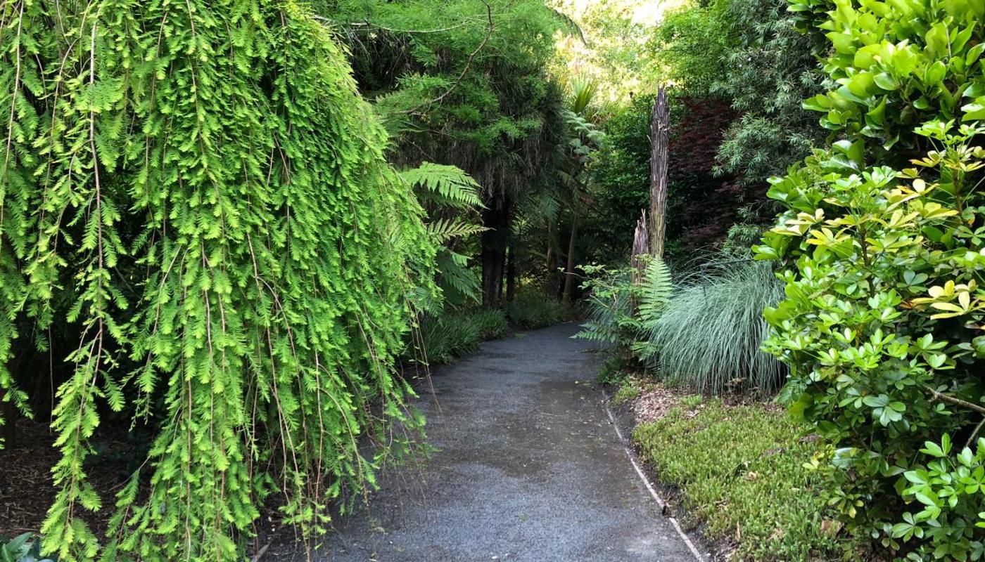 Our well gravelled paths make strolling around Mincher easy for all ages.