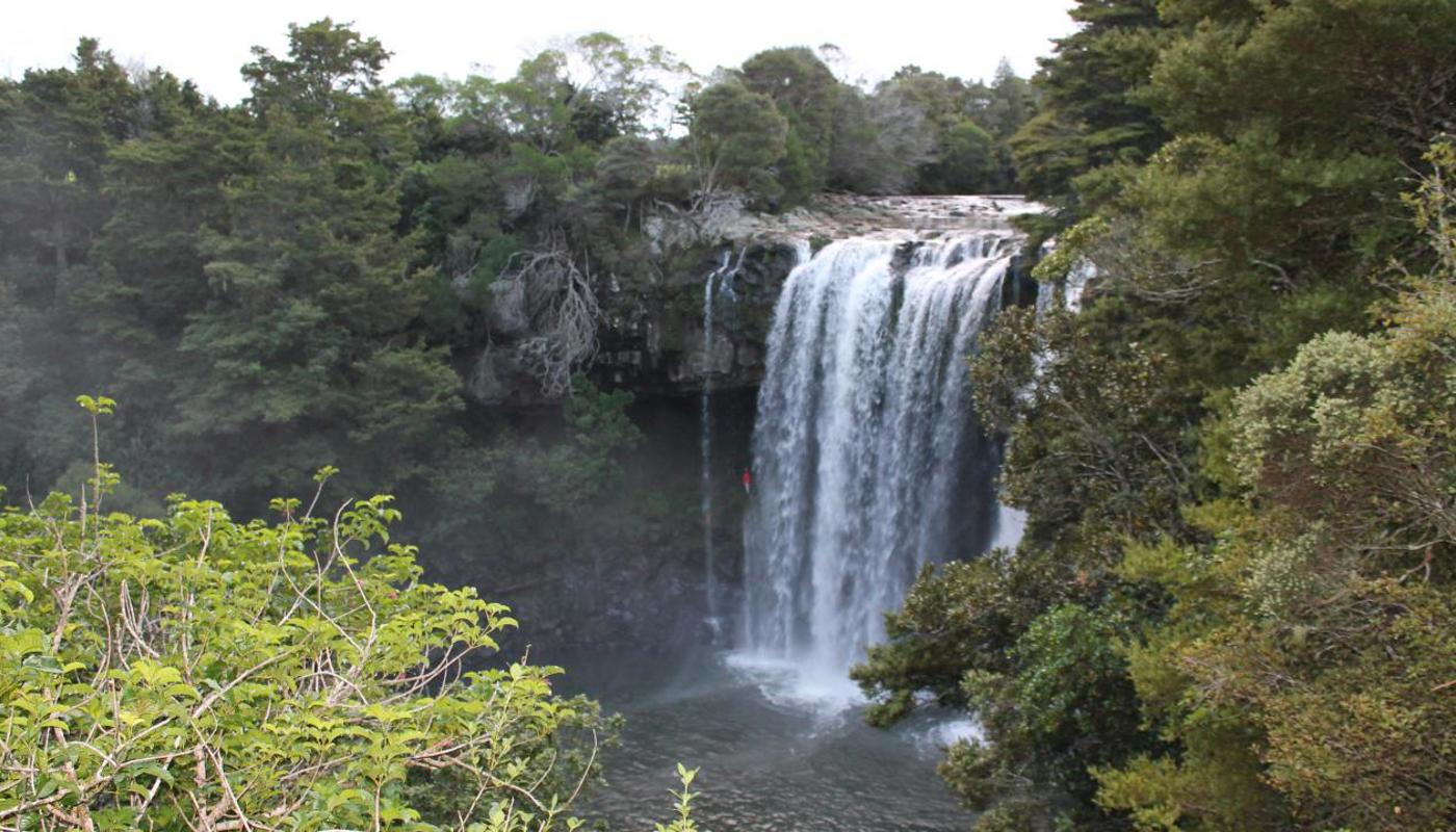 Experience NZ Tour with Private Driver Hire New Zealand.