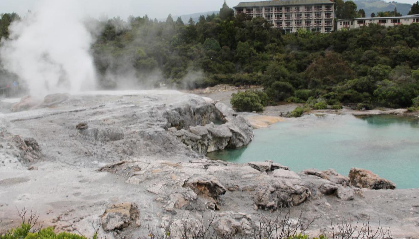 Experience NZ Tour with Private Driver Hire New Zealand.