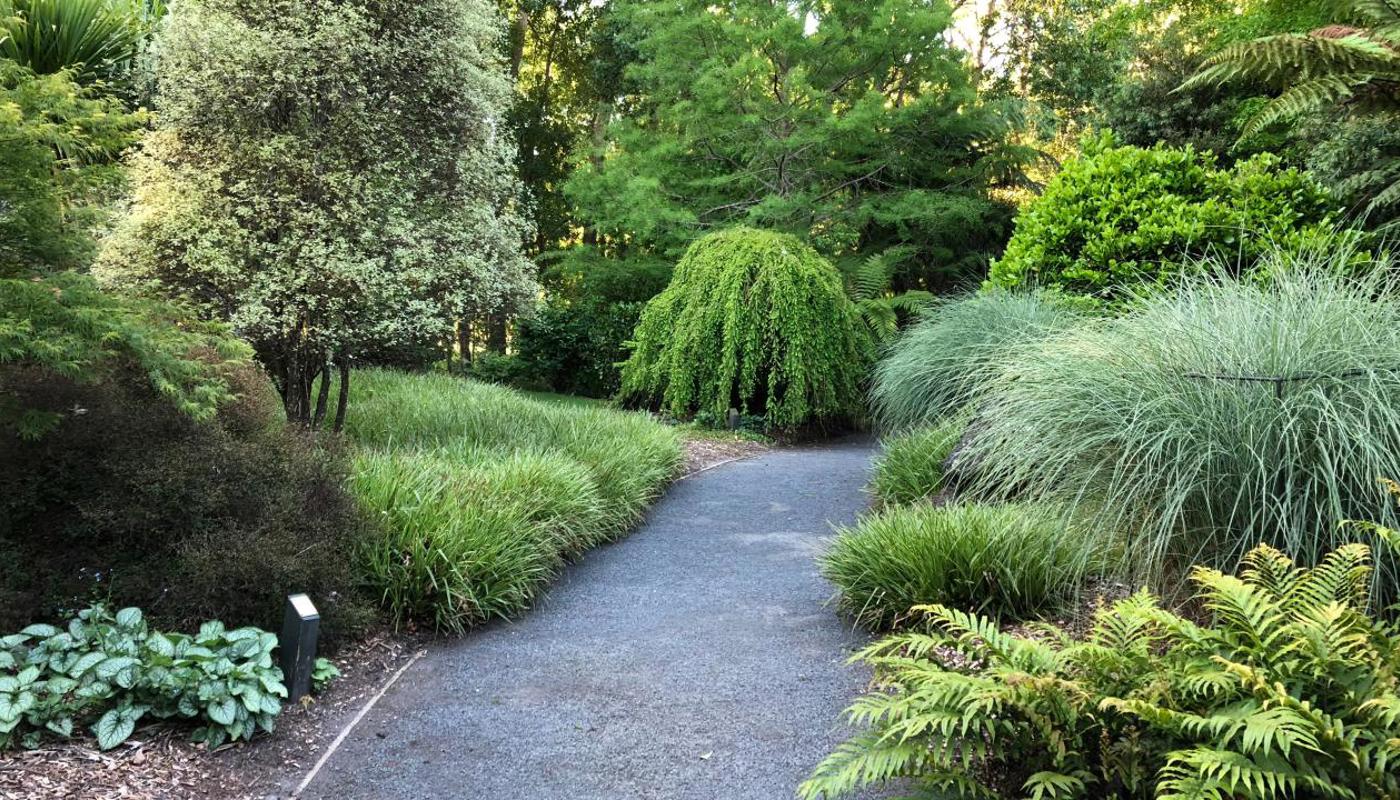 Mincher Garden - A Garden of International Significance - Guided Garden Visit. Image 3