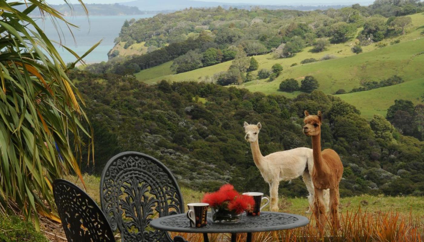 Enjoy the views from your private deck at Mahurangi West Wing