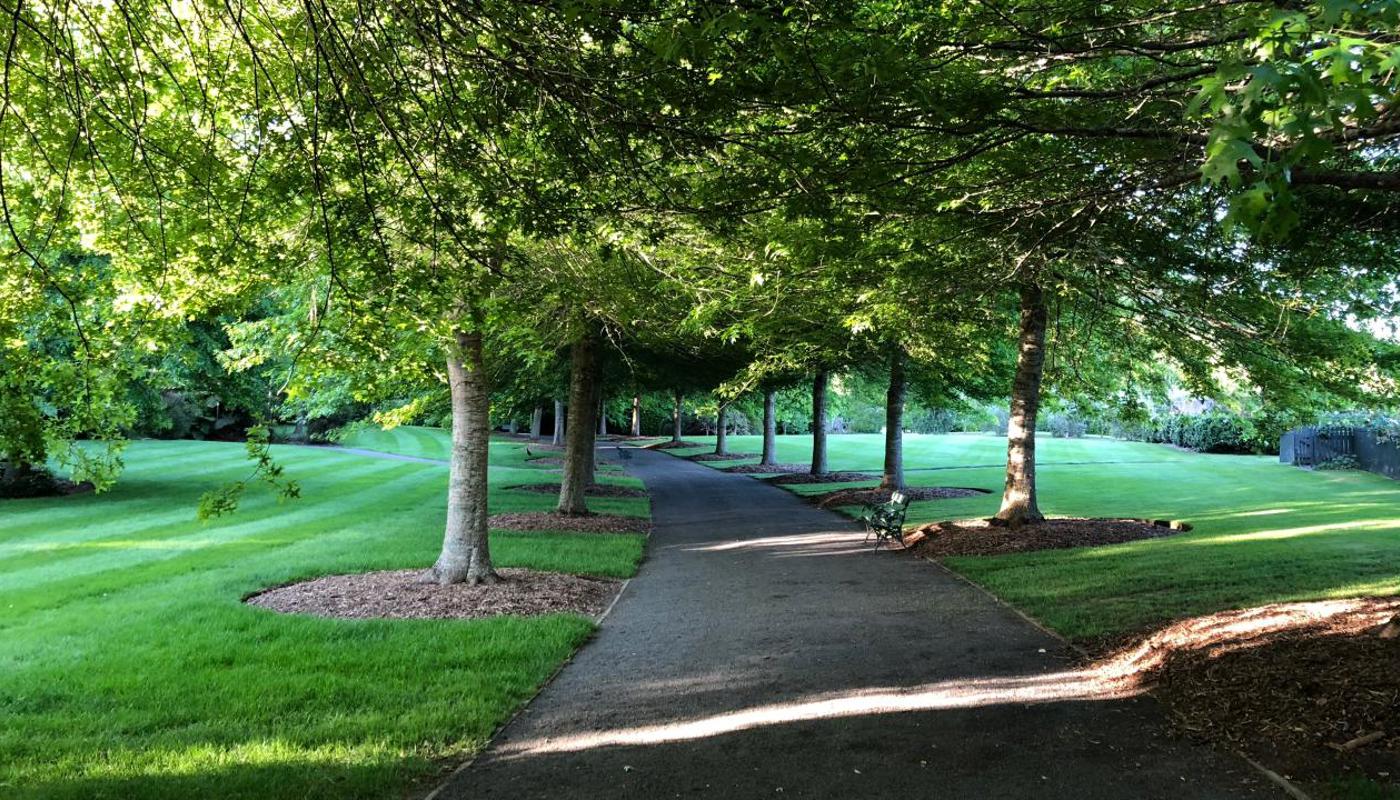 Mincher Garden - A Garden of International Significance - Guided Garden Visit. Image 2