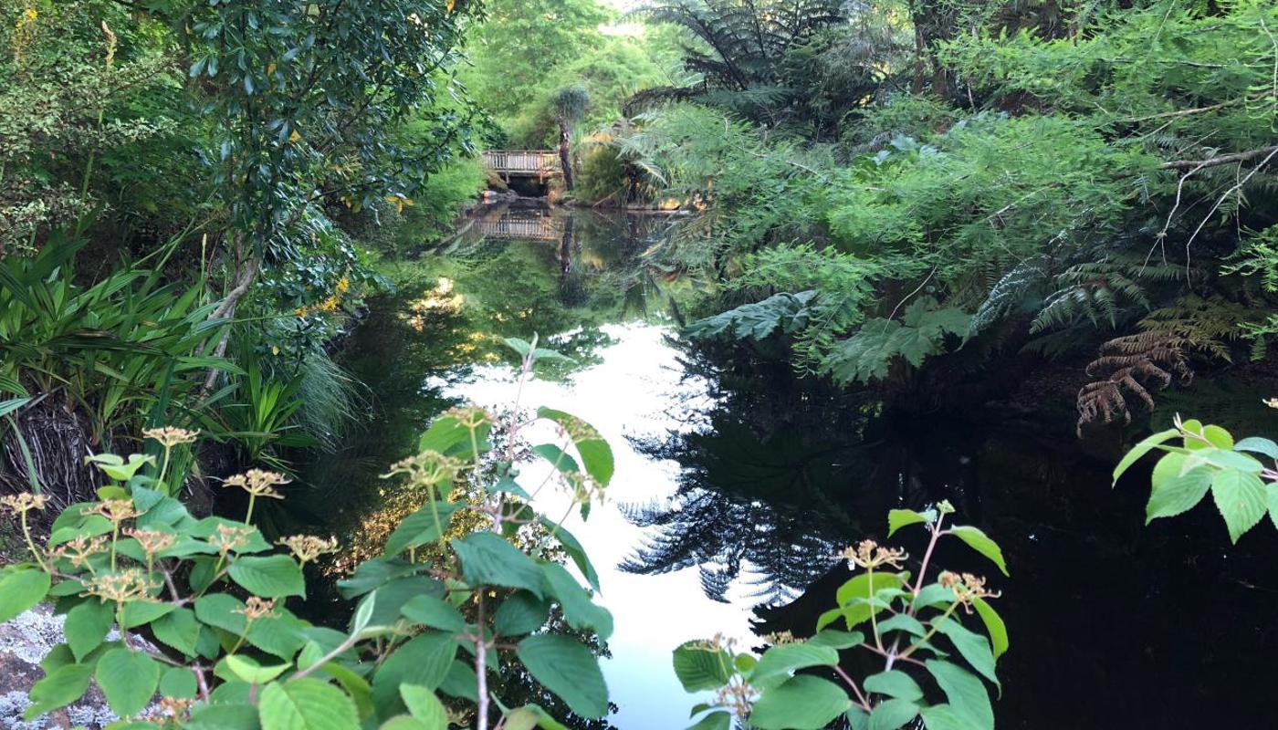 One of the many planted waterways creating stunning vistas throughout the 20 acre garden.