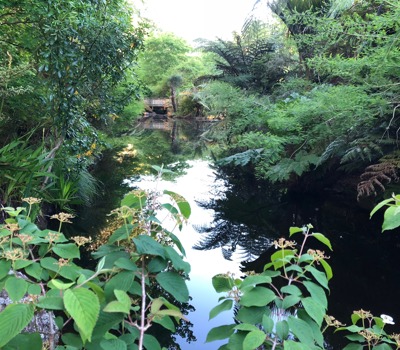 Mincher Garden