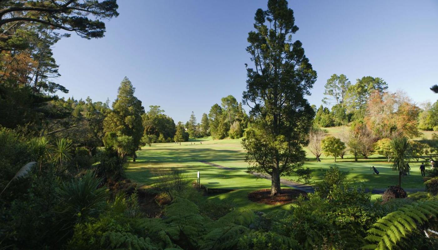 Redwood Park Golf Club #7 hole