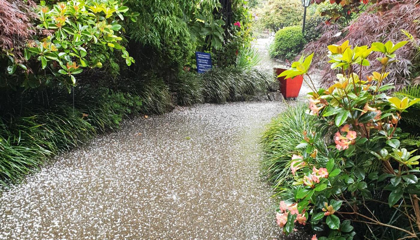 The gardens are beautiful all year round - including when it hails!