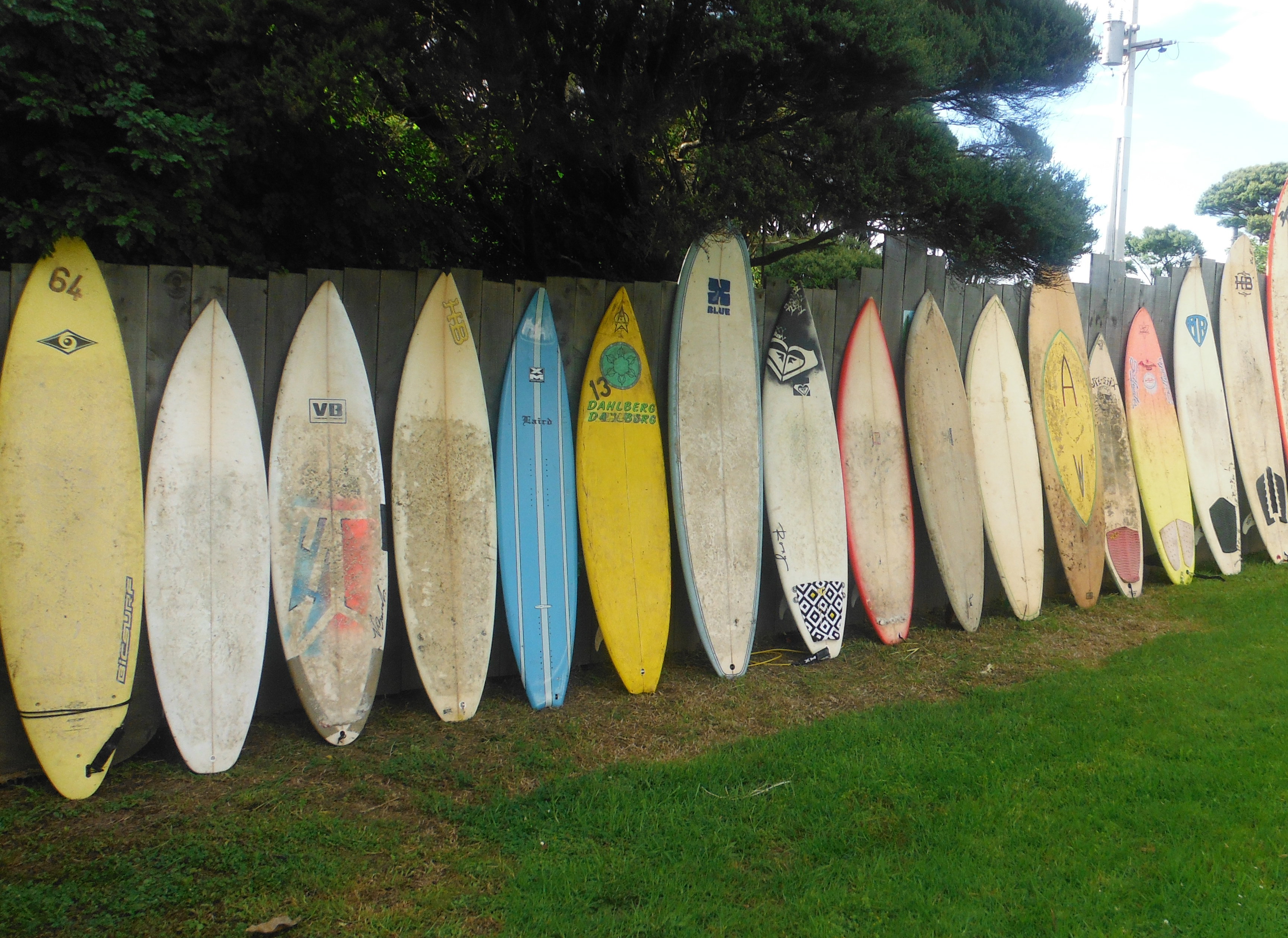 Auckland Surfboard Rentals