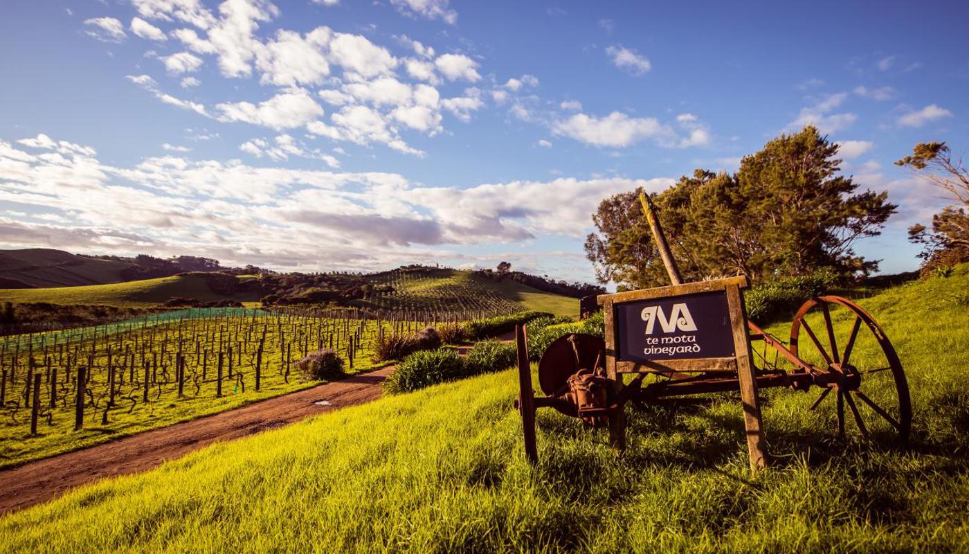 Te Motu Vineyard