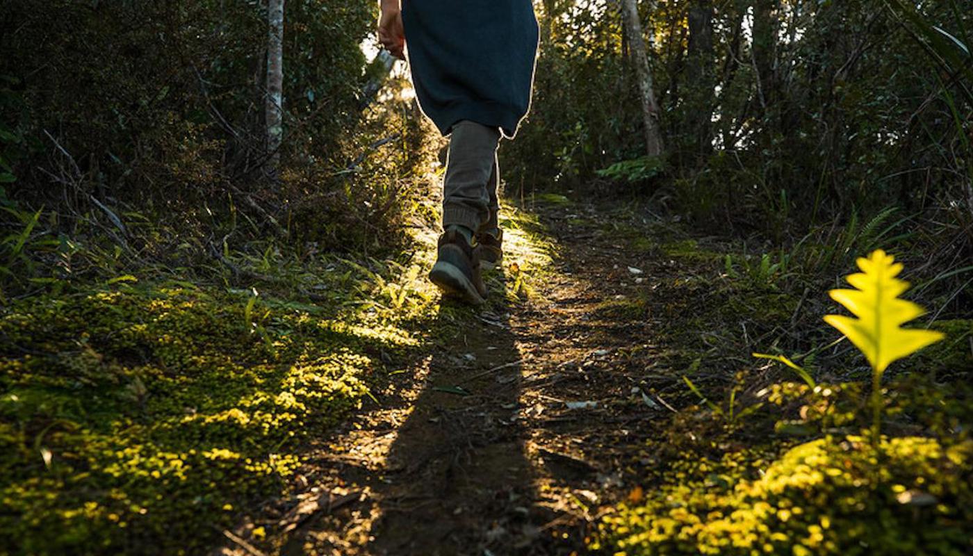 The first part of the trek takes you along a historic tramline track.