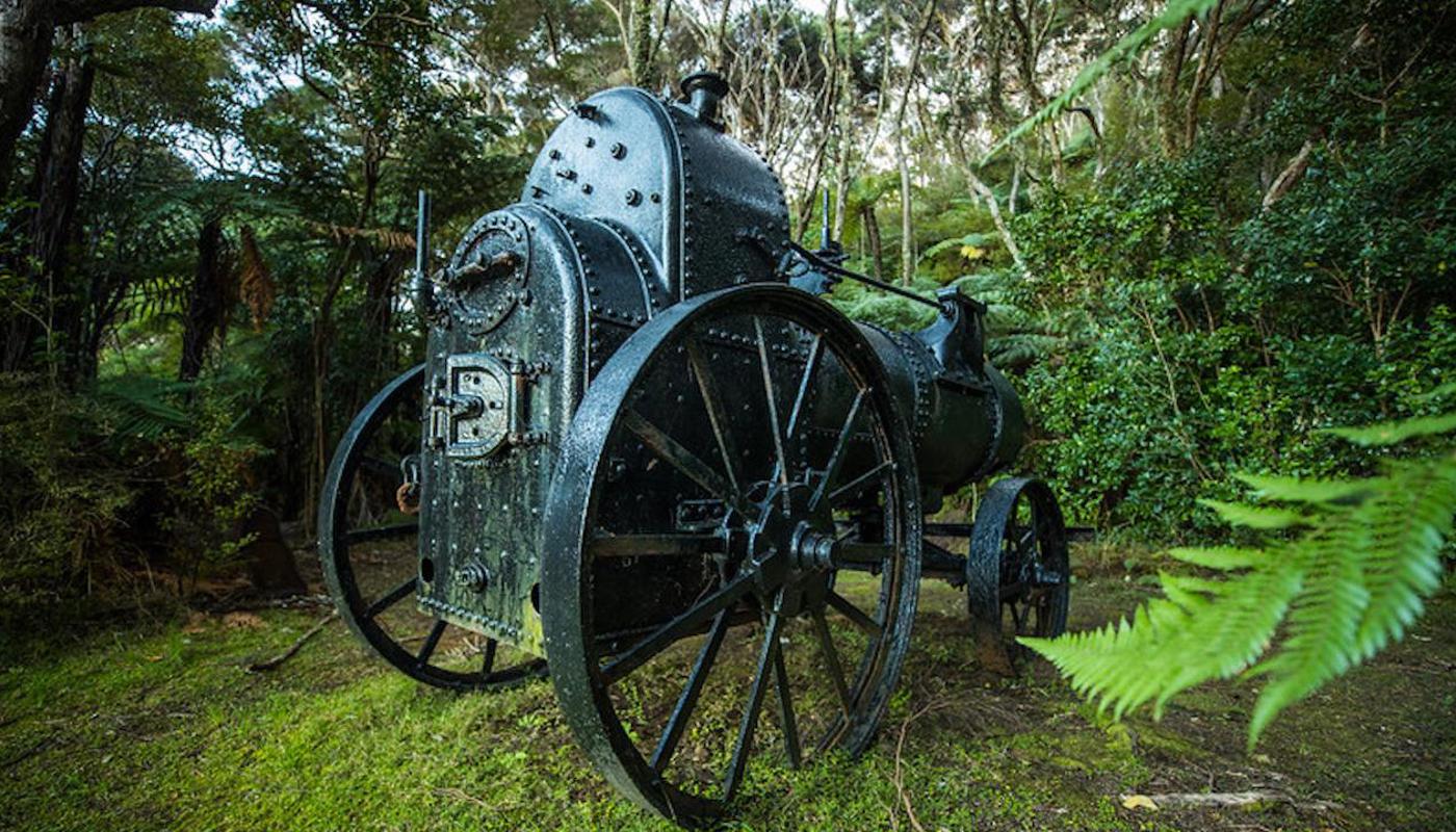 Whangaparapara Historic Trek Image 3