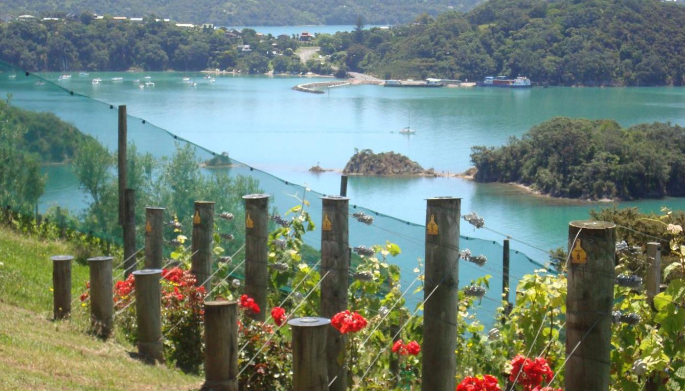 Views from Waiheke Island