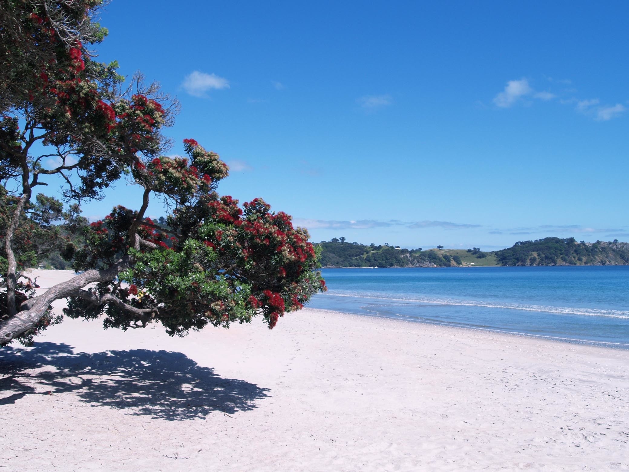 Ananda Tours