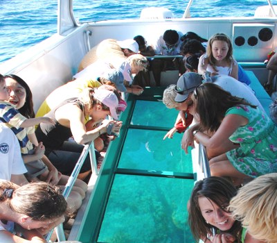 Goat Island NZ Glass Bottom Boat Tour