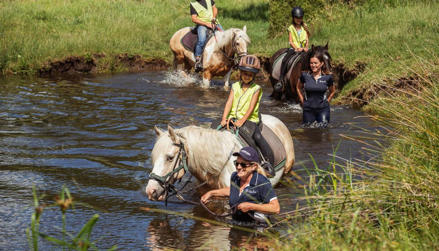 Swimming with horses.