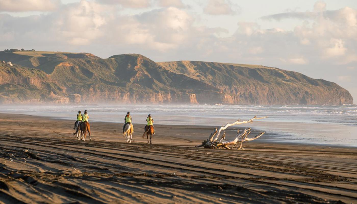 Mystic Muriwai