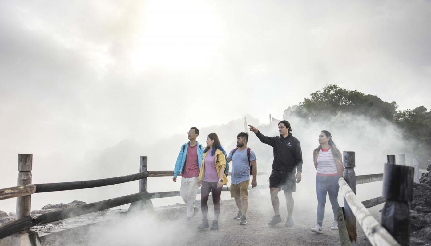 Te Puia, Rotorua