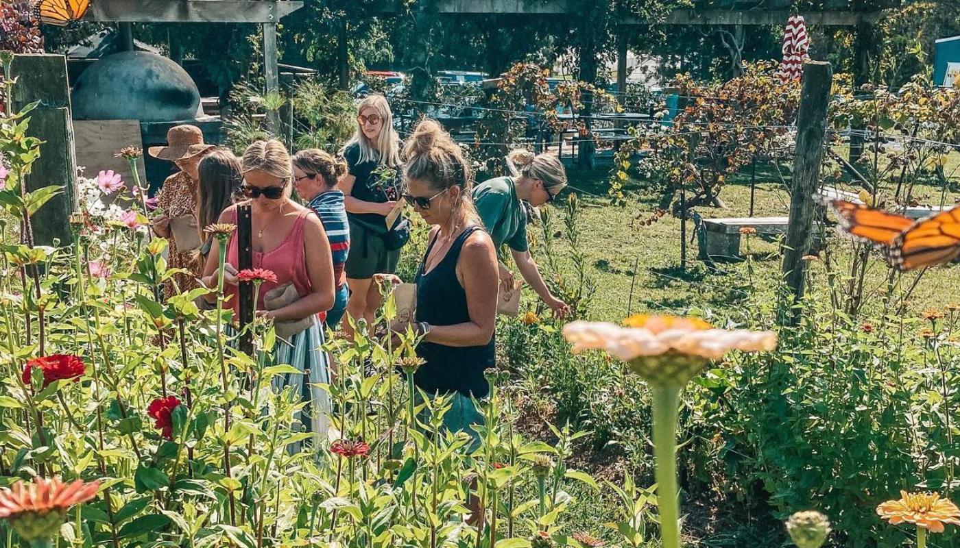 Friends picking flowers amongst butterflies at Slow Blooms.