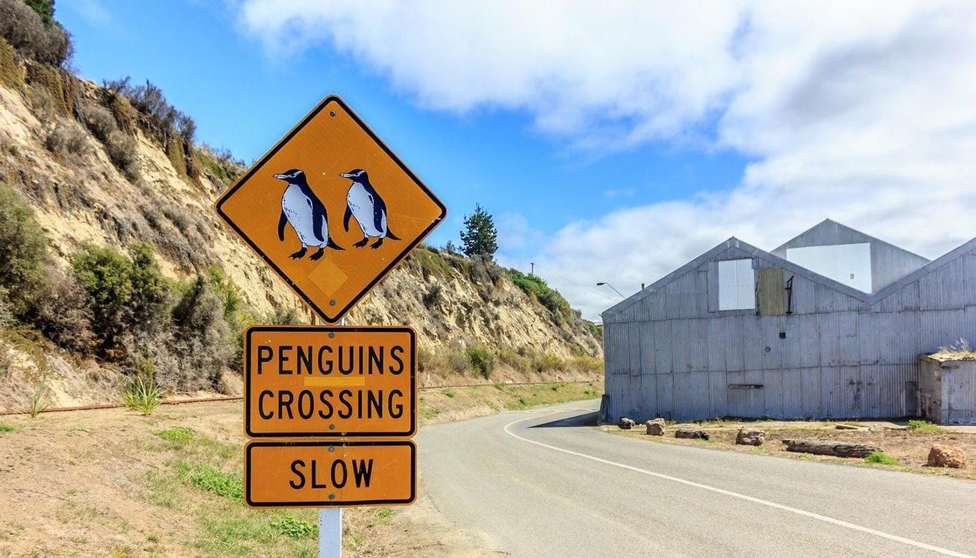 New Zealand self-drive rental car tours from the German-speaking New Zealand specialist.
