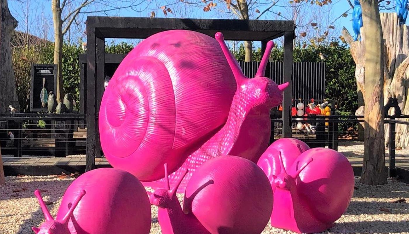 Pink Snail Garden