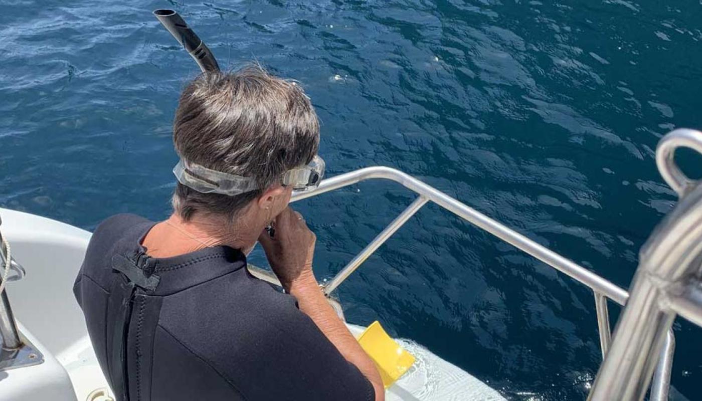 Try snorkelling or stand-up paddleboarding, or simply go for a swim