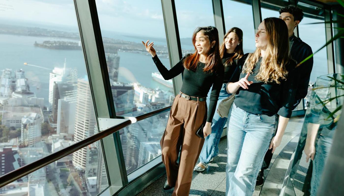 Sky Tower view from the main observation level