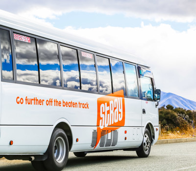Stray Bus Tours