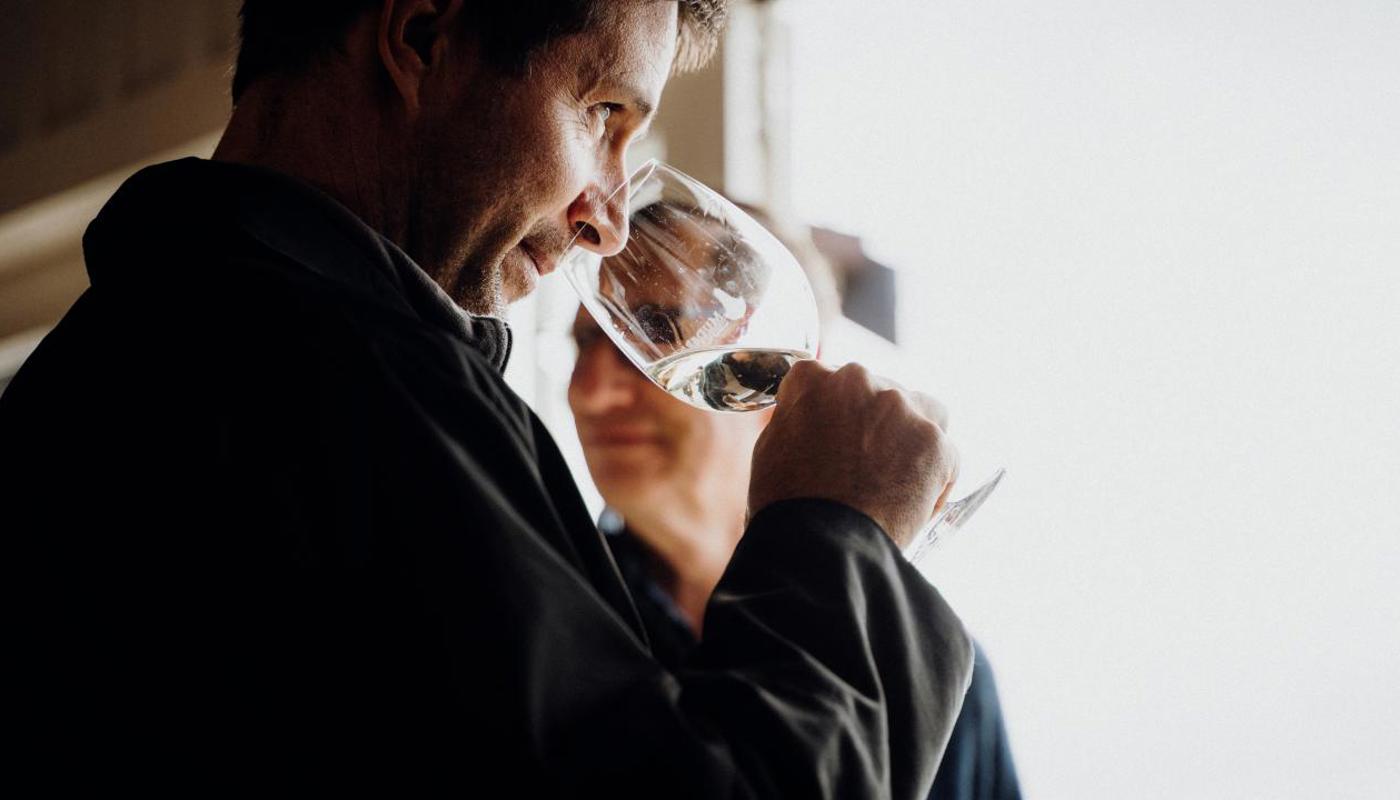 Taste the premium wines