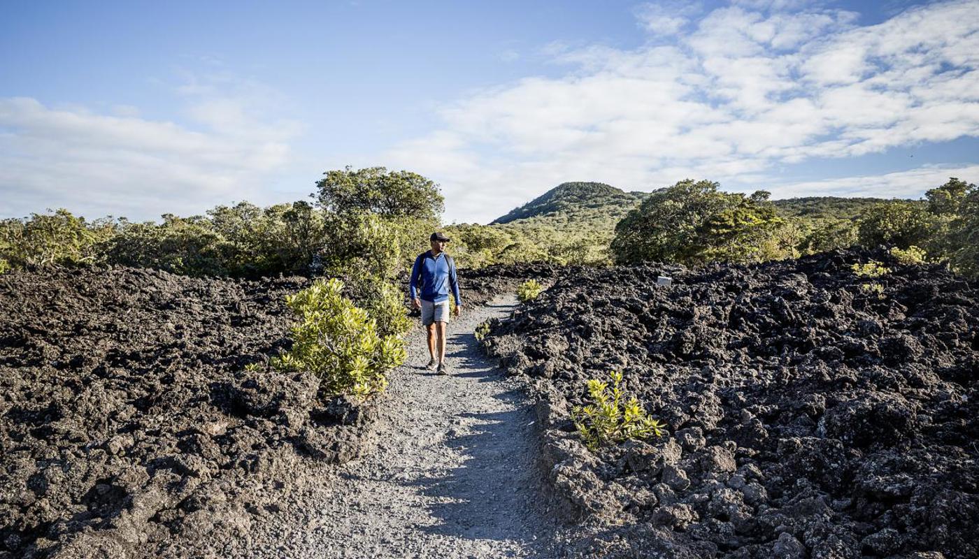 Explore Rugged Solidified Lava Fields