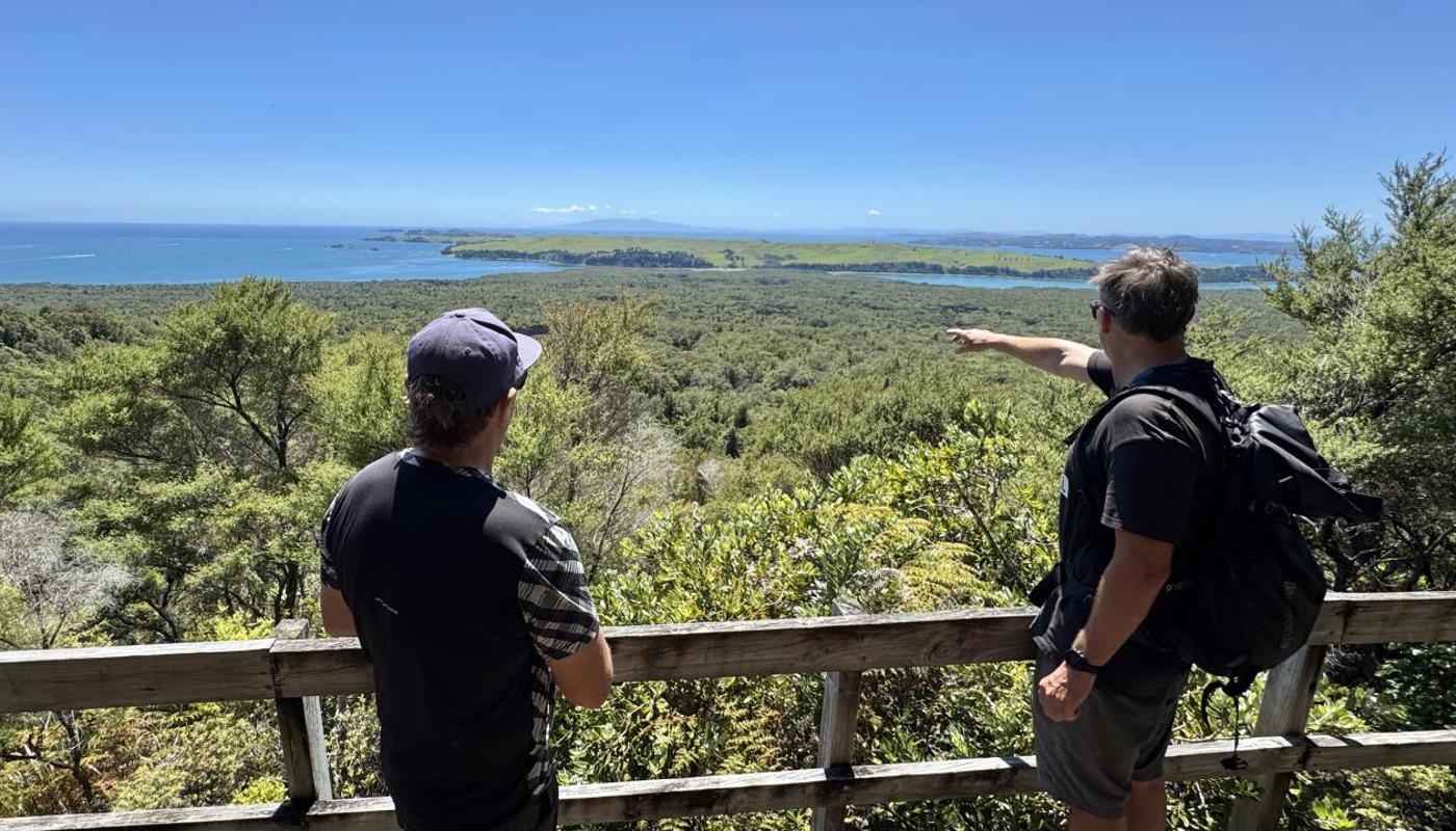 Discover Regenerating and Mature Native Forest Including the World's Largest Pōhutukawa Forest