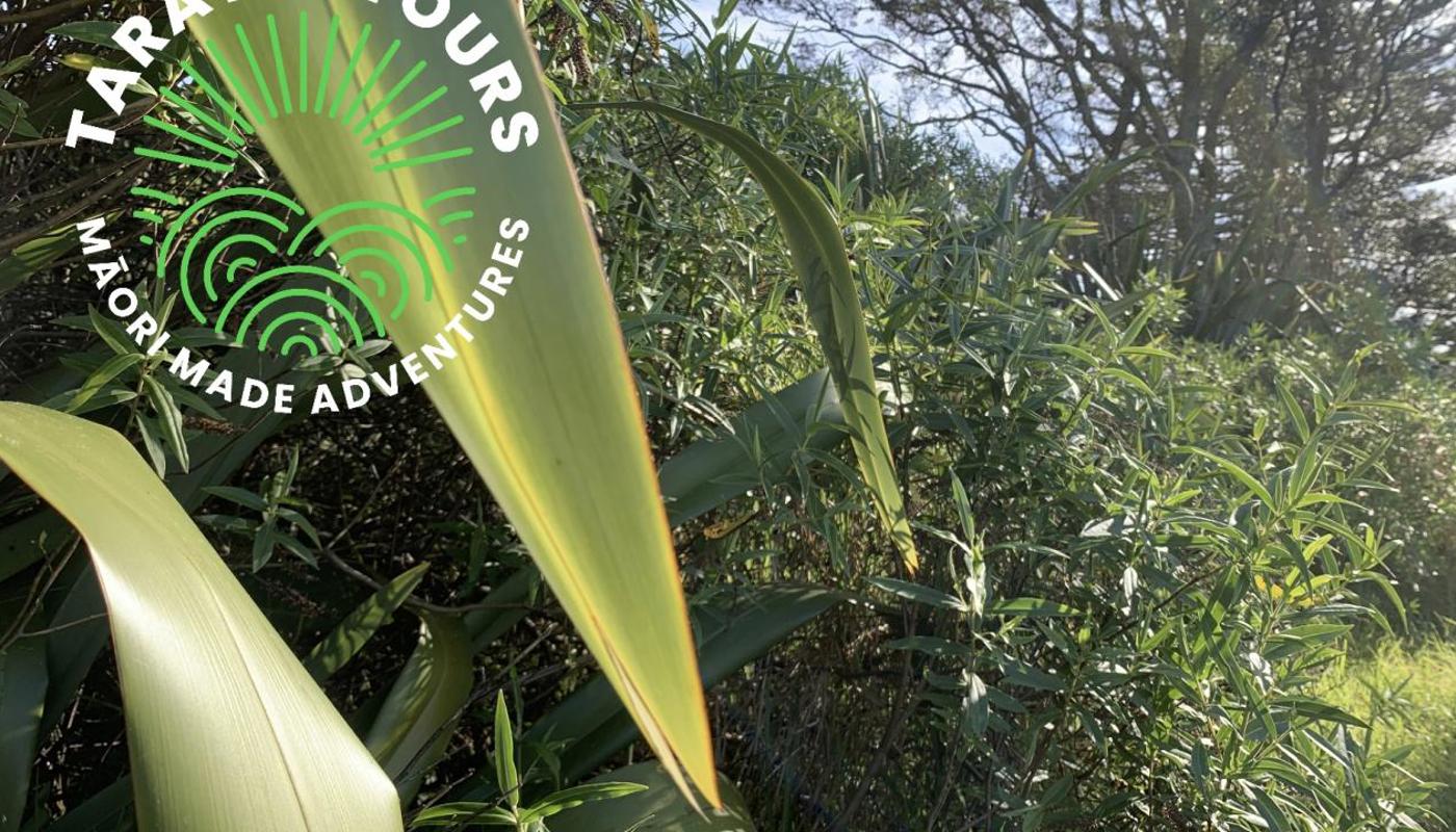 Native bush