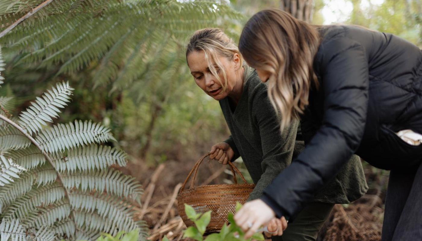 A guided tour of the forest farm