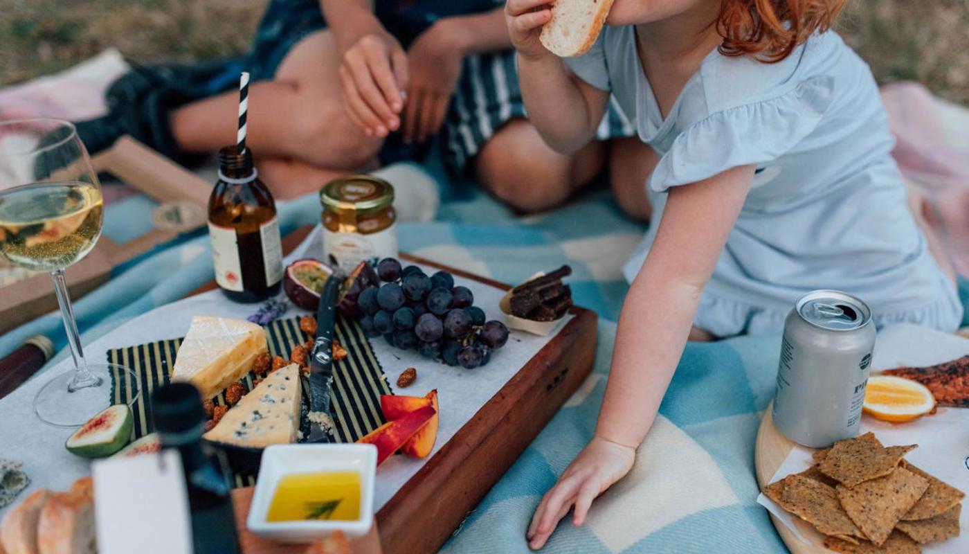 Family Picnic Grazing
