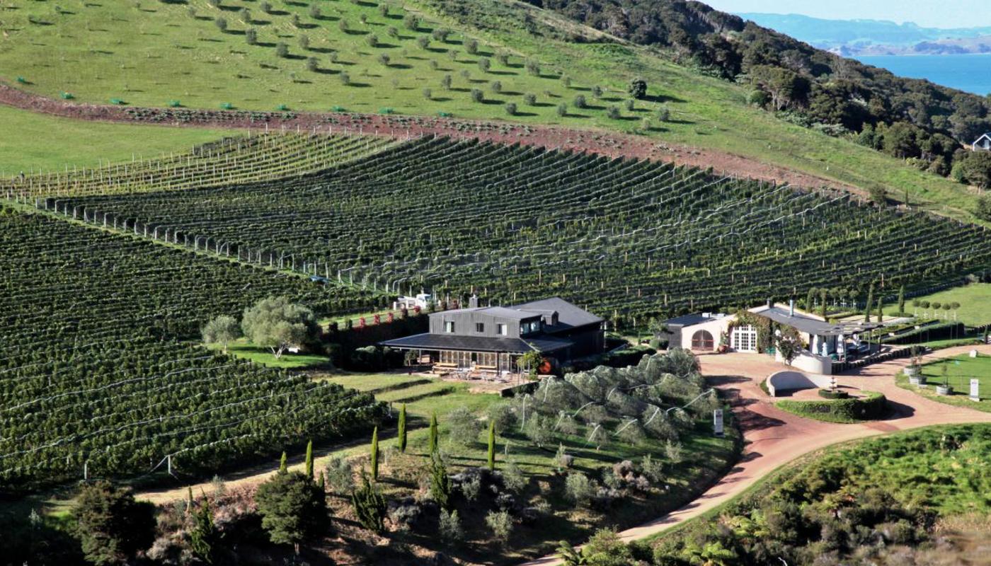 5-day Luxurious Itinerary on Waiheke Island Image 2