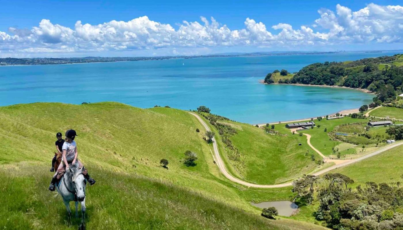 Waiheke Horse Tours Image 1