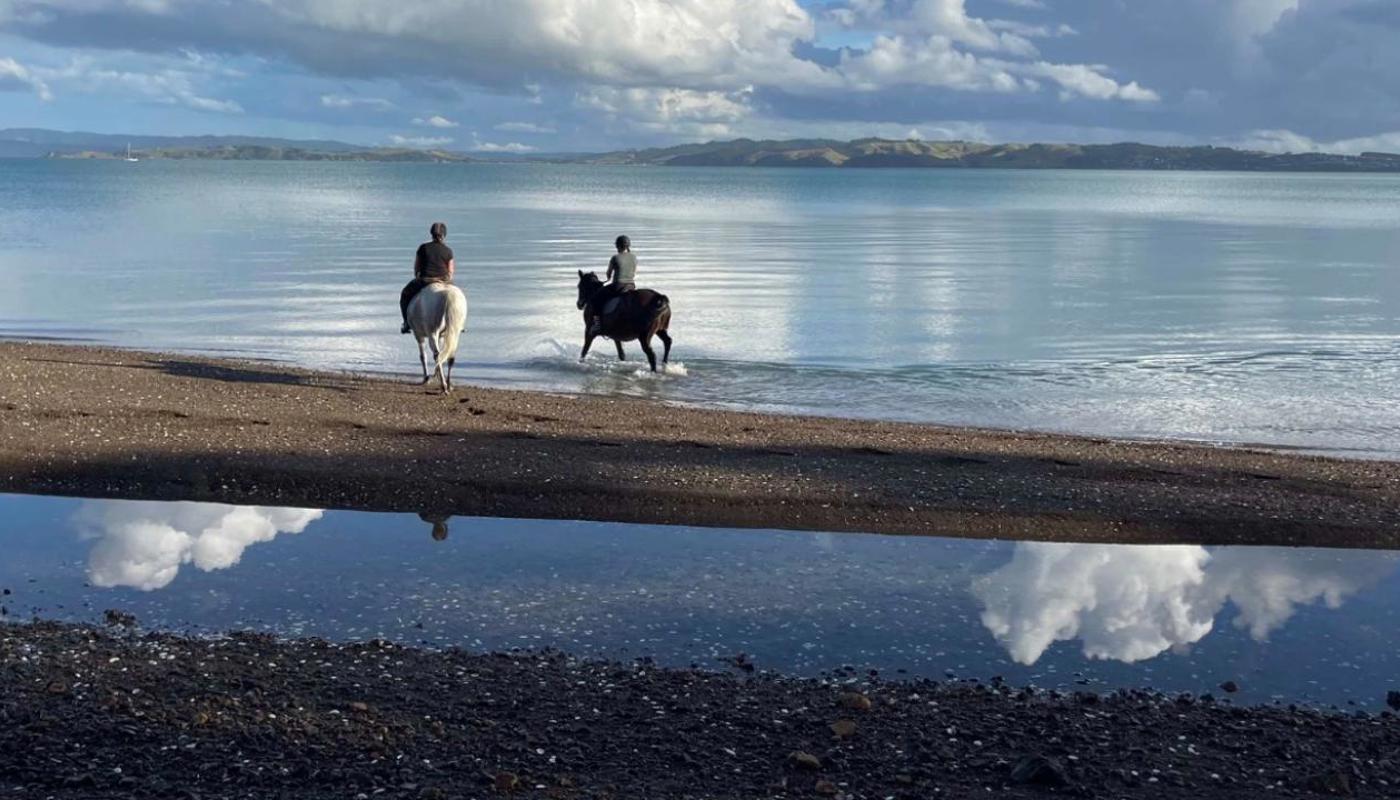 A reflective stroll along the beach.