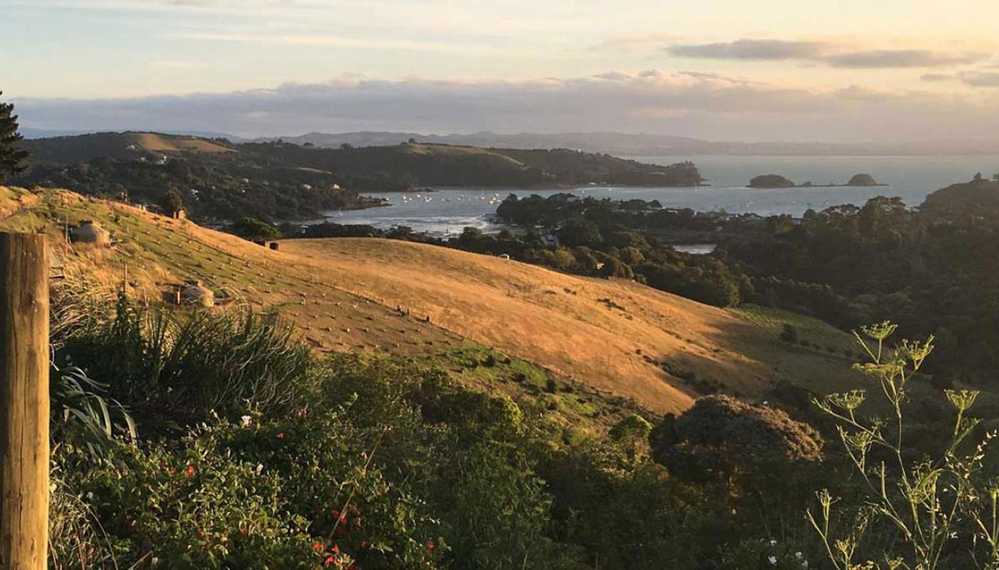 Discover Waiheke Island on a guided walk