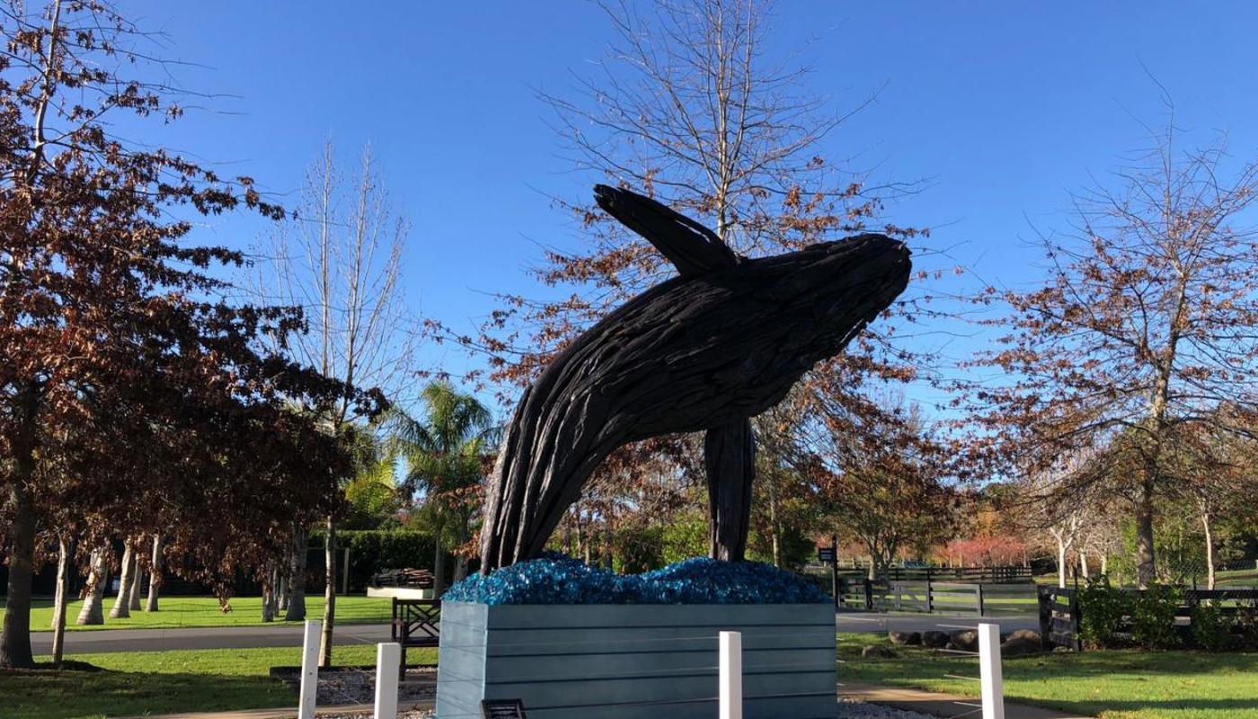 Driftwood Whale