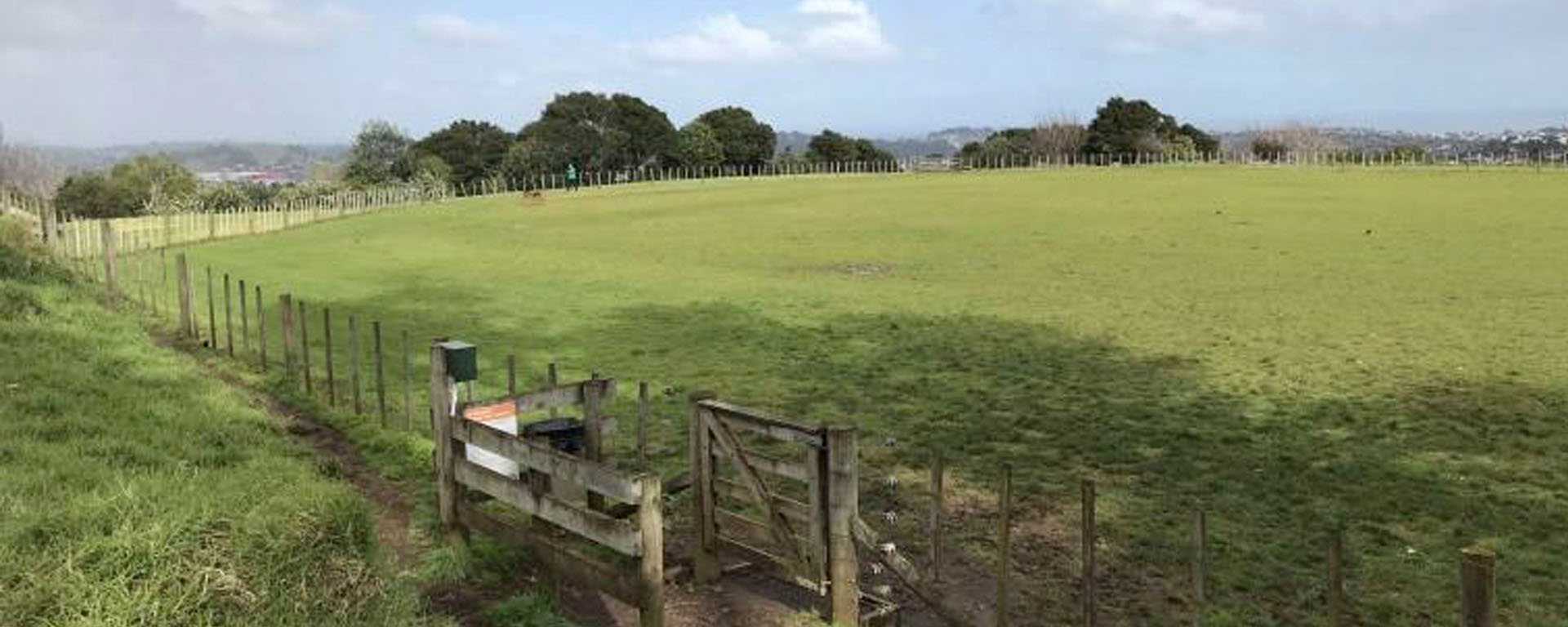 Ōwairaka / Te Ahi-kā-a-Rakataura Mt Albert