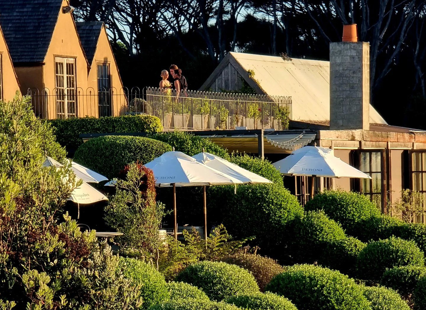 Super Boutique Small Group Wine Tours on Waiheke Island