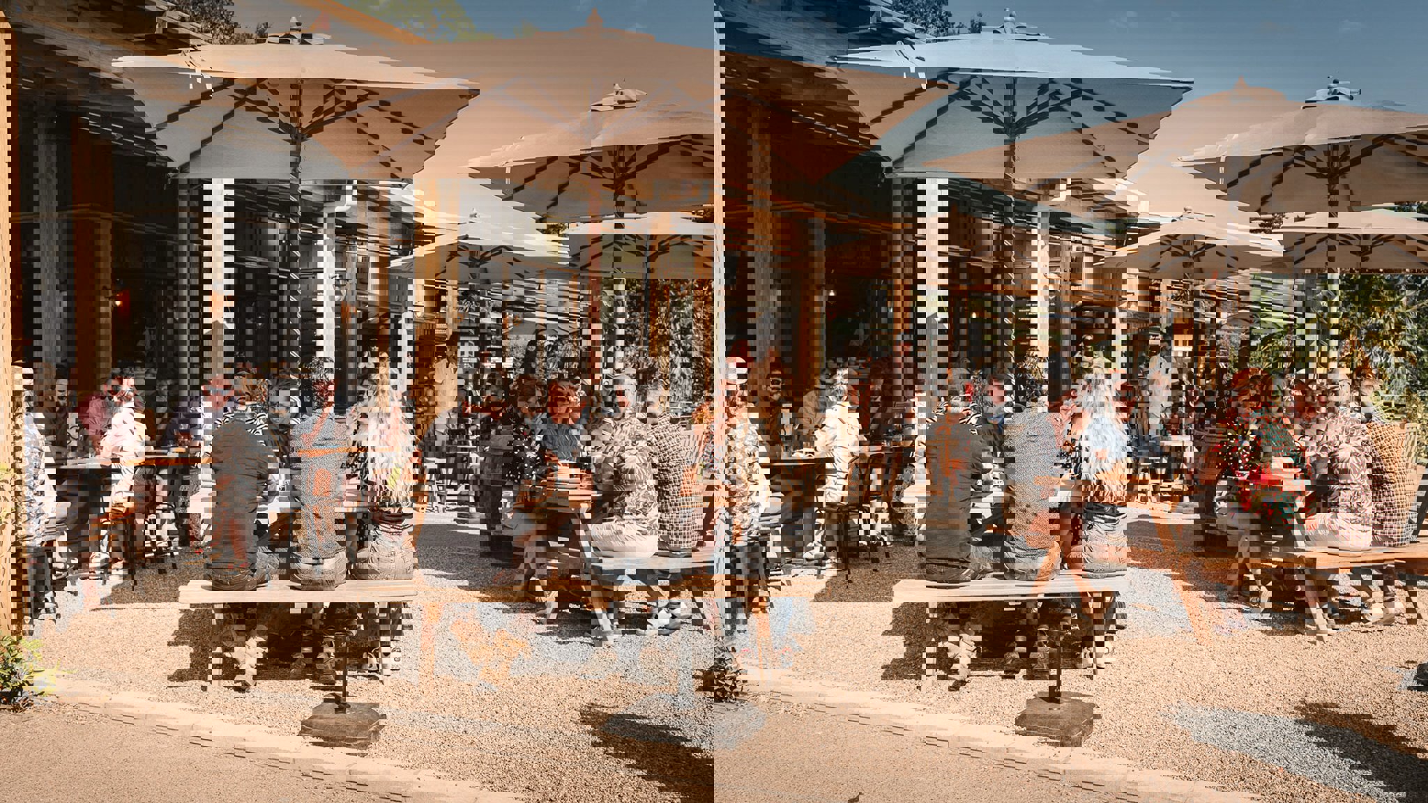 Two Column Image Text